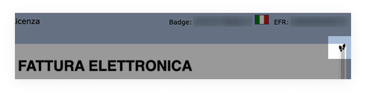 E-Invoicing List EFR